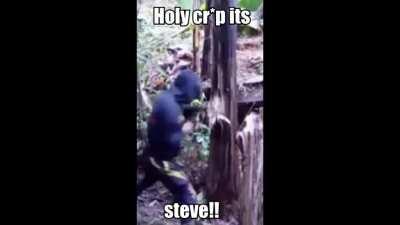 you playin minecraft?????