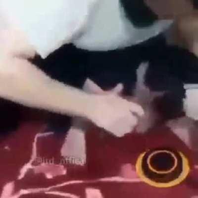 ⭕️↩️🔃❌️↪️↘️❌️↘️⤵️⭕️❌️↩️