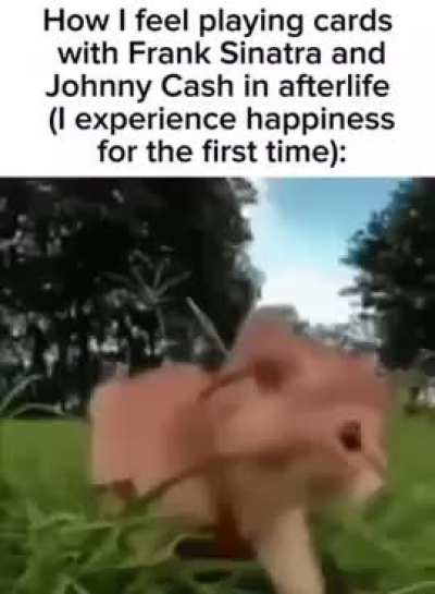 real (i have a feeling we'd get along pretty well)