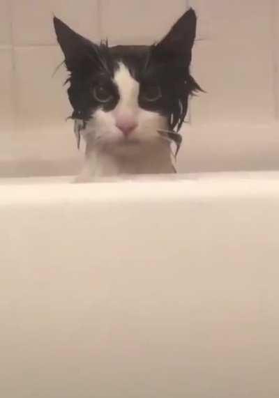 Смешно тебе, да?