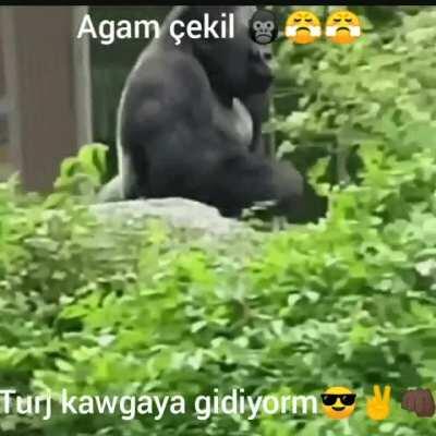 Çekilsene lan 🦍😤😤😡