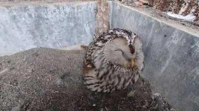 This is what satisfaction looks like 😍