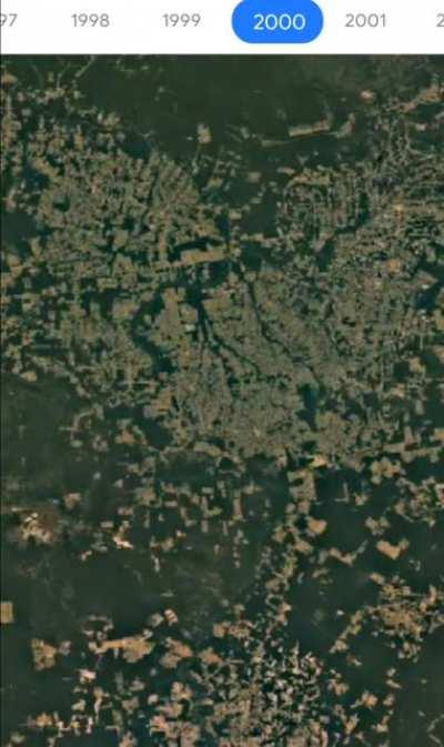 Deforestation in Brazil caught via Google Earth