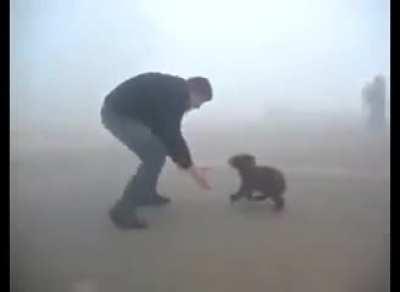 BrUtAl BeAr MaUls A mAn To dEaTh