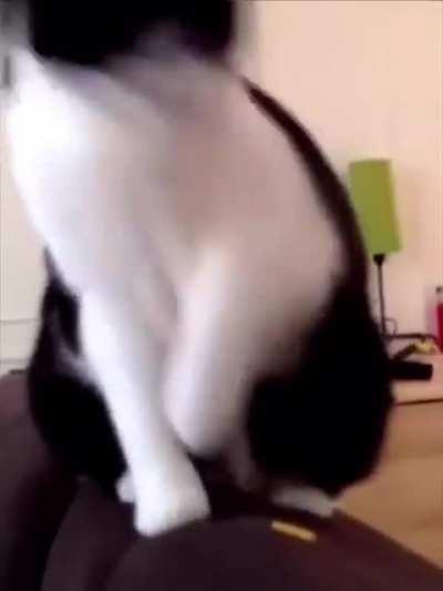 The Worst Code Smells