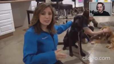 That dog is never gonna do handshakes with people EVER AGAIN . Poor boy