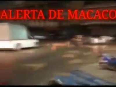 Alerta de Macaco