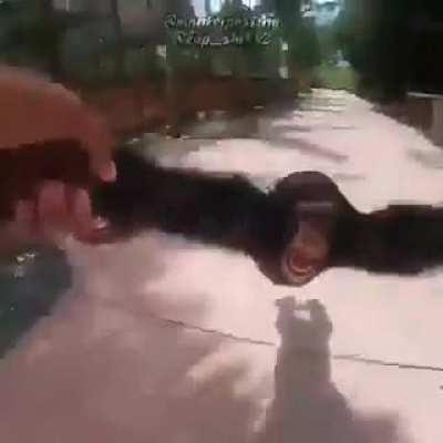 ❤️❤️❤️❤️❤️❤️❤️❤️