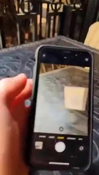 Its how they mark their territory