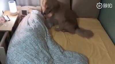 Doesn’t matter how big the bed is, the problem will be the same.