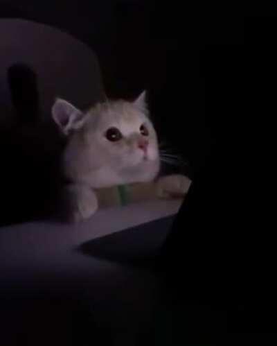 When someone turns the light on in the radiology reading room