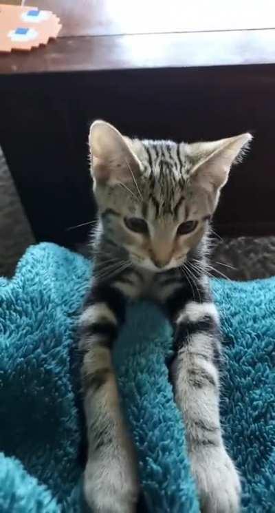 Mo does the ole sneak and pounce