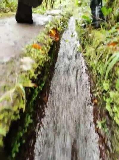 you're hiking and see this phat ...organic rock formation?! blocking your hiking path, wyd ...also can we pls PLS appreciate how this leggins makes my peach look? thank you🙏