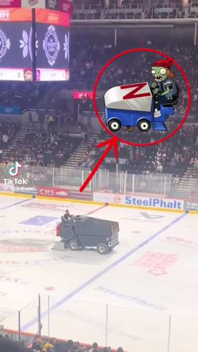 Young Fly on the Track