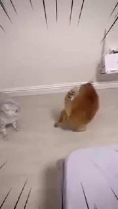 They just made my day