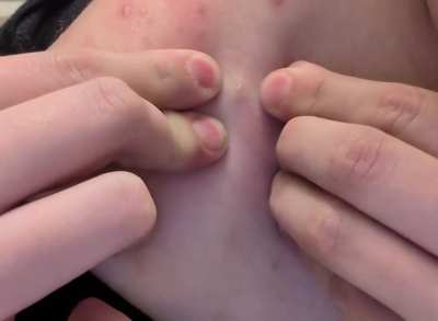 Thought y'all would enjoy this one I got on my shoulder today.