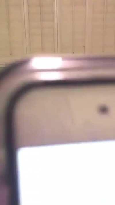 Kid believed the prank