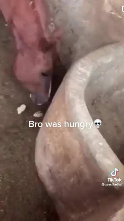 bro let the intrusive thoughts win