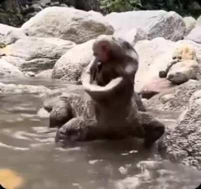 I thought komodo dragon eat different