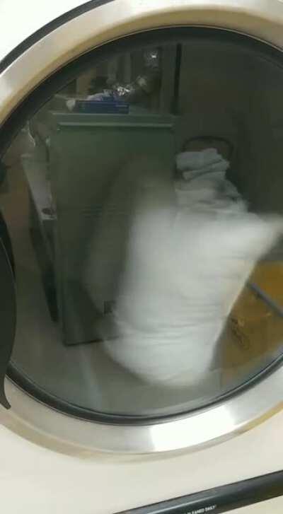 These pillows synchronized flipping in a dryer