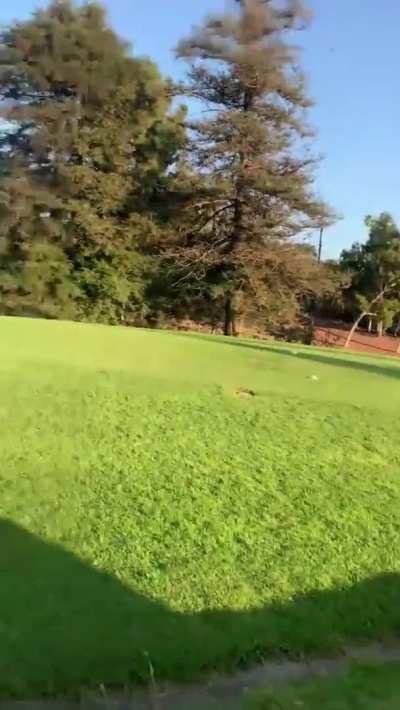 Cart Girl Lets Guy Fuck Her From Behind