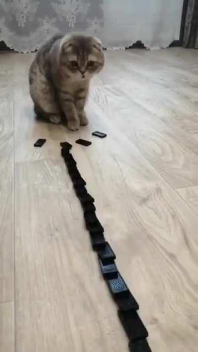 Это что ж делается то, а?