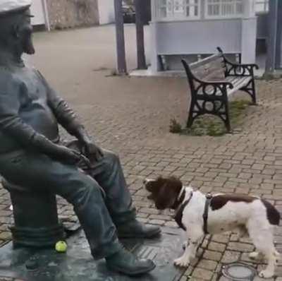 Maybe he need glasses :( :( :(