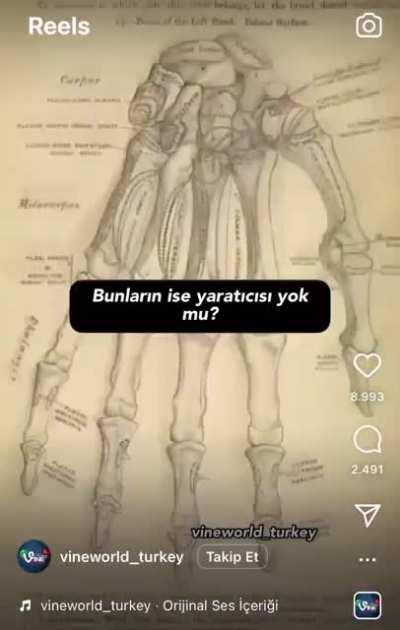 bak karsesim simdi at sekeri caya