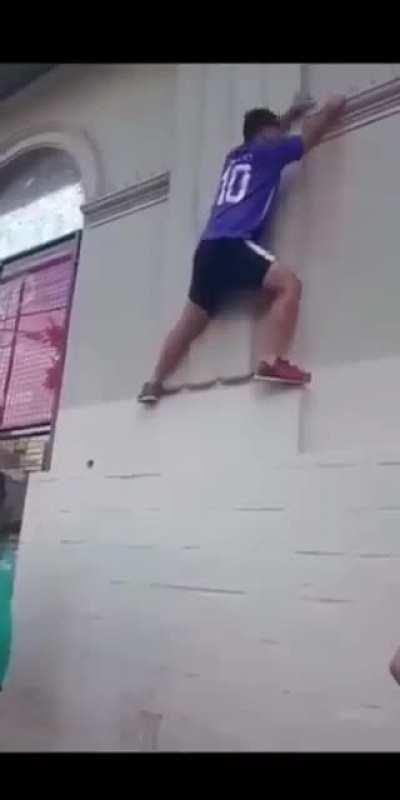 compilado a pedido del publico