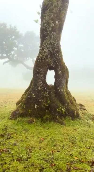 Я покажу тебе, глубока ли кроличья нора.