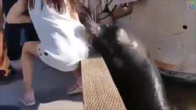 Quick, the Davey Jones people need you !