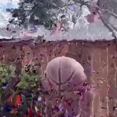 La simulación está fallando