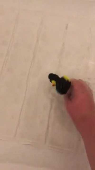 Thanks I hate rubber ducky that can’t float