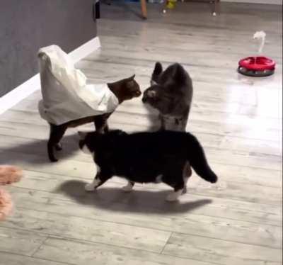 When your friends are jealous of your new outfit