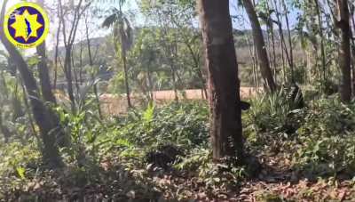 Duraka Column, Dawei National Liberation Army, Yephyu People's Defense Force, and other Rebels attack Myanmar/Burmese Junta Positions with Drones and Small Arms in Mechaung Village, Dawei Township (Between January 4-January 7)