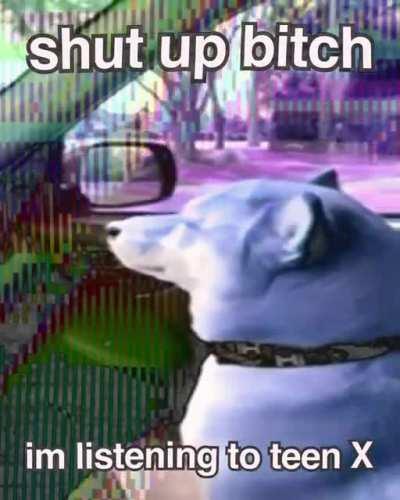 inspired by u/propa1nx dog video