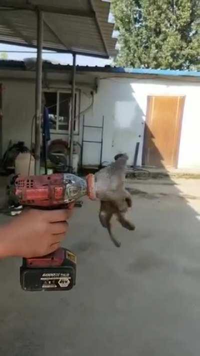 The Warp Hämmer, +15 Magic