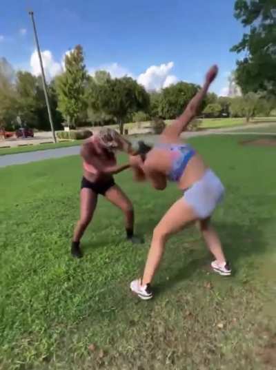 Knuckle Sandwiches at the Park