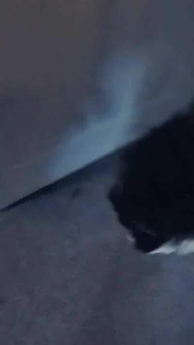 The evidence pretty much speaks for itself on this one