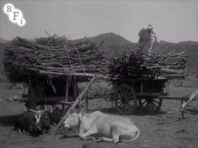Rare video of Rawalpindi from 1928 (95 Years Ago)