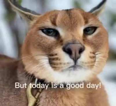 Its that time again!