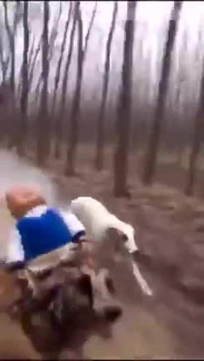 me and my best friend paul on our way to burgrber king