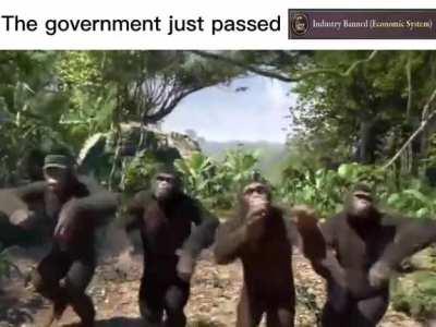 We shall finally return!