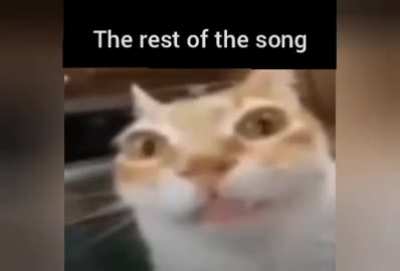 What FNF song is this for you?