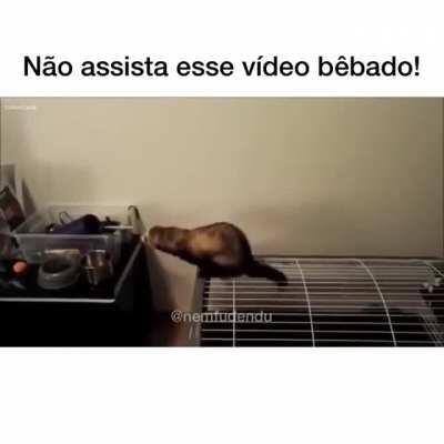 Nova profissão: Anti biologo