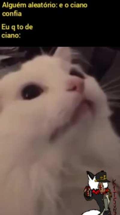 Diga não à Cianofobia