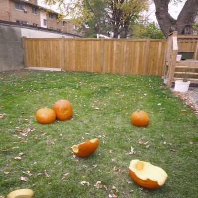 I turn into a pumpkin