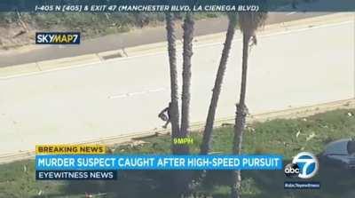 Murder suspect on the run