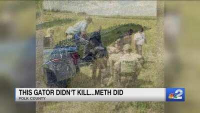 WCGW mixing up a Florida Man + Meth + Alligator?