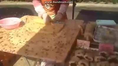 Never forget why health regulations exist